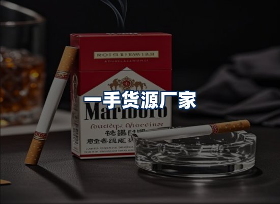 专业团队办公环境